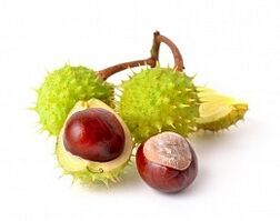 Horse chestnut in HondroFrost for arthritis